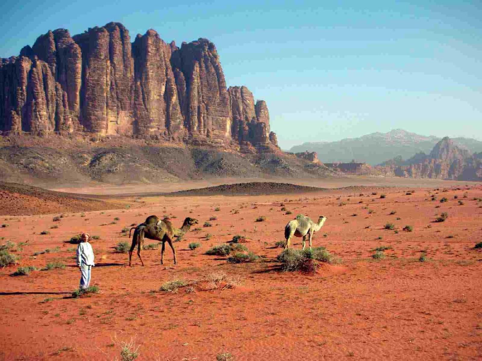 Hotel Wadi Rum Caeser Camp Extérieur photo