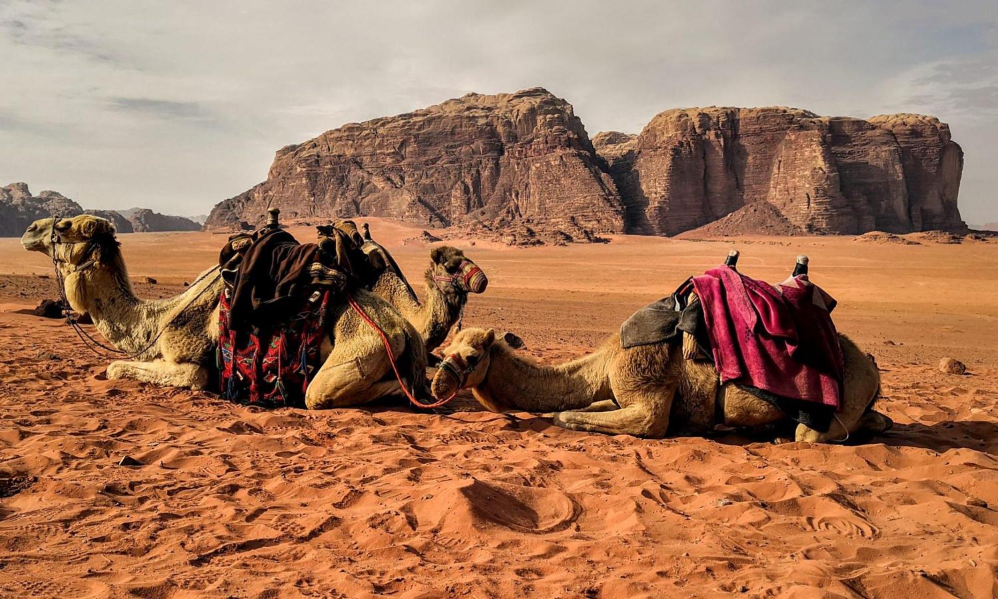 Hotel Wadi Rum Caeser Camp Extérieur photo