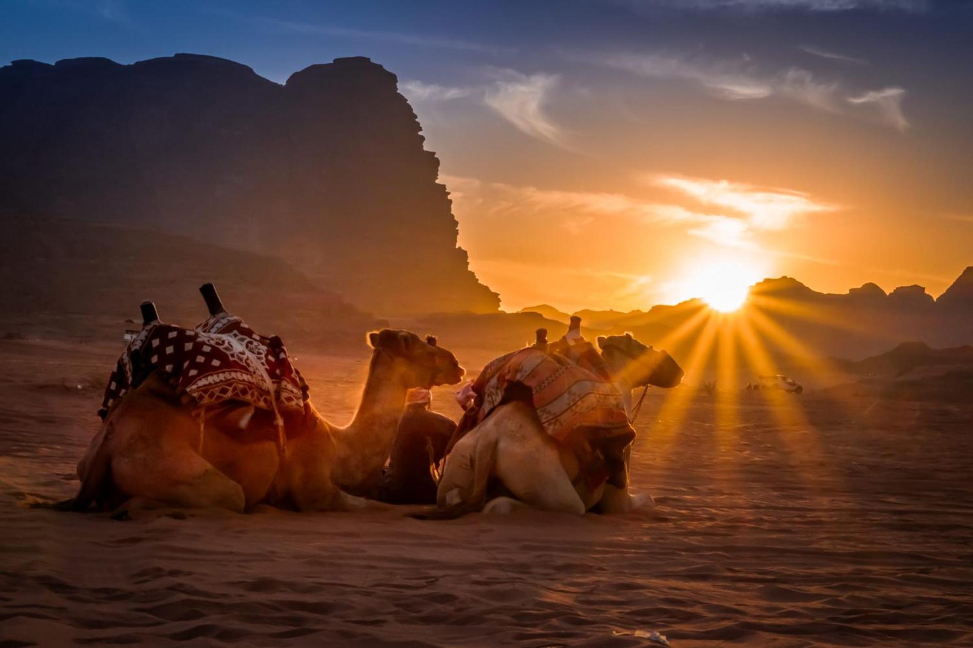Hotel Wadi Rum Caeser Camp Extérieur photo